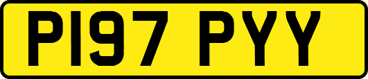 P197PYY
