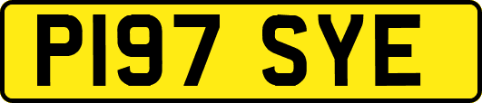 P197SYE