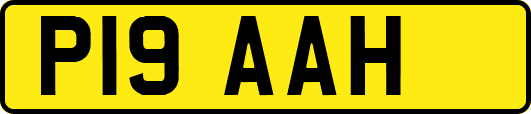 P19AAH