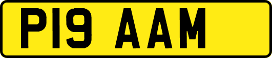 P19AAM