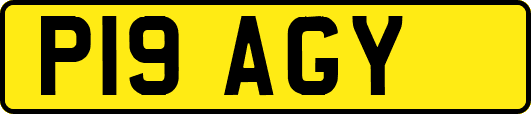 P19AGY