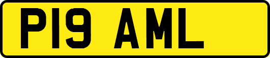 P19AML