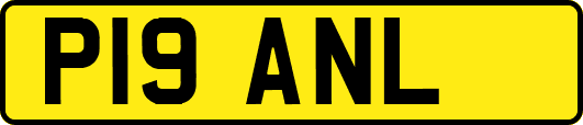P19ANL