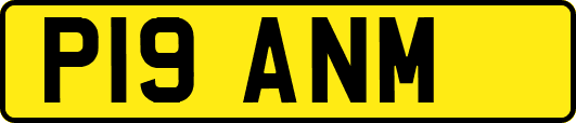 P19ANM