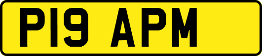 P19APM