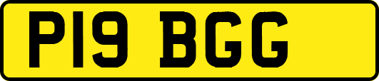 P19BGG