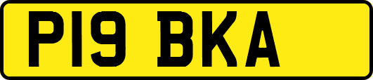 P19BKA