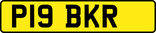 P19BKR
