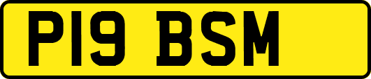 P19BSM
