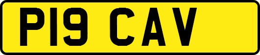 P19CAV
