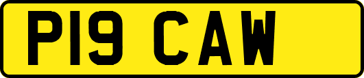 P19CAW