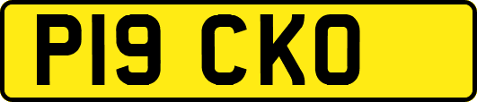 P19CKO