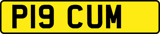 P19CUM