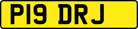 P19DRJ