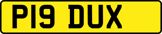 P19DUX