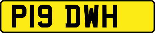 P19DWH