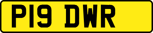 P19DWR