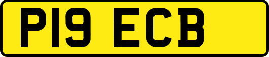 P19ECB