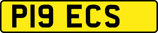P19ECS
