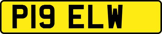 P19ELW