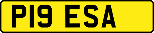 P19ESA