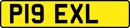 P19EXL