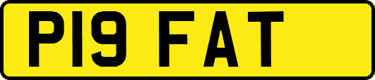 P19FAT