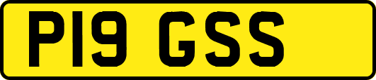 P19GSS