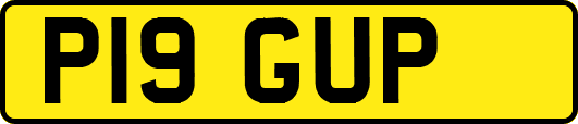 P19GUP