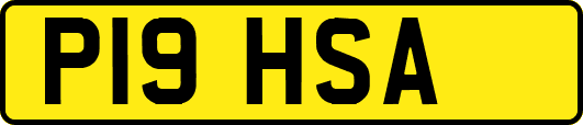 P19HSA