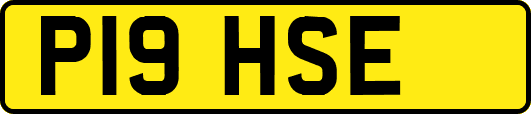 P19HSE