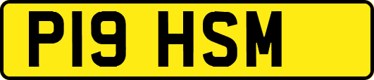 P19HSM