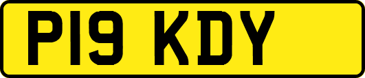 P19KDY