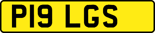 P19LGS