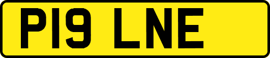 P19LNE