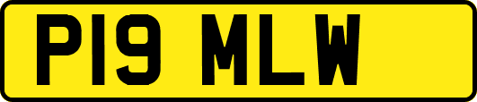 P19MLW