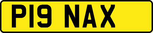 P19NAX
