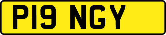 P19NGY