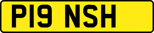 P19NSH