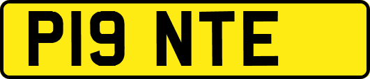 P19NTE