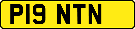 P19NTN