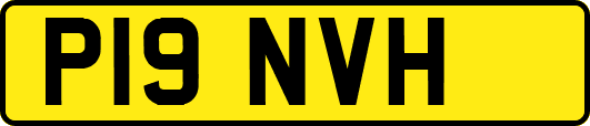 P19NVH