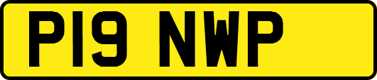 P19NWP