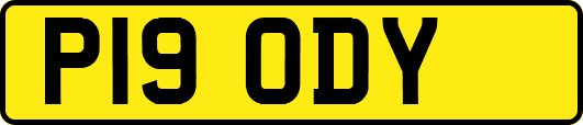 P19ODY