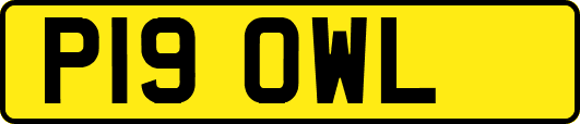 P19OWL