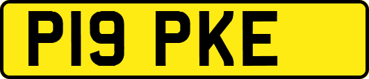 P19PKE