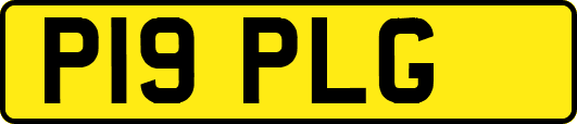 P19PLG