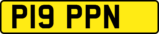 P19PPN