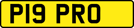 P19PRO