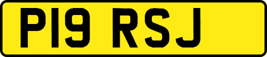 P19RSJ